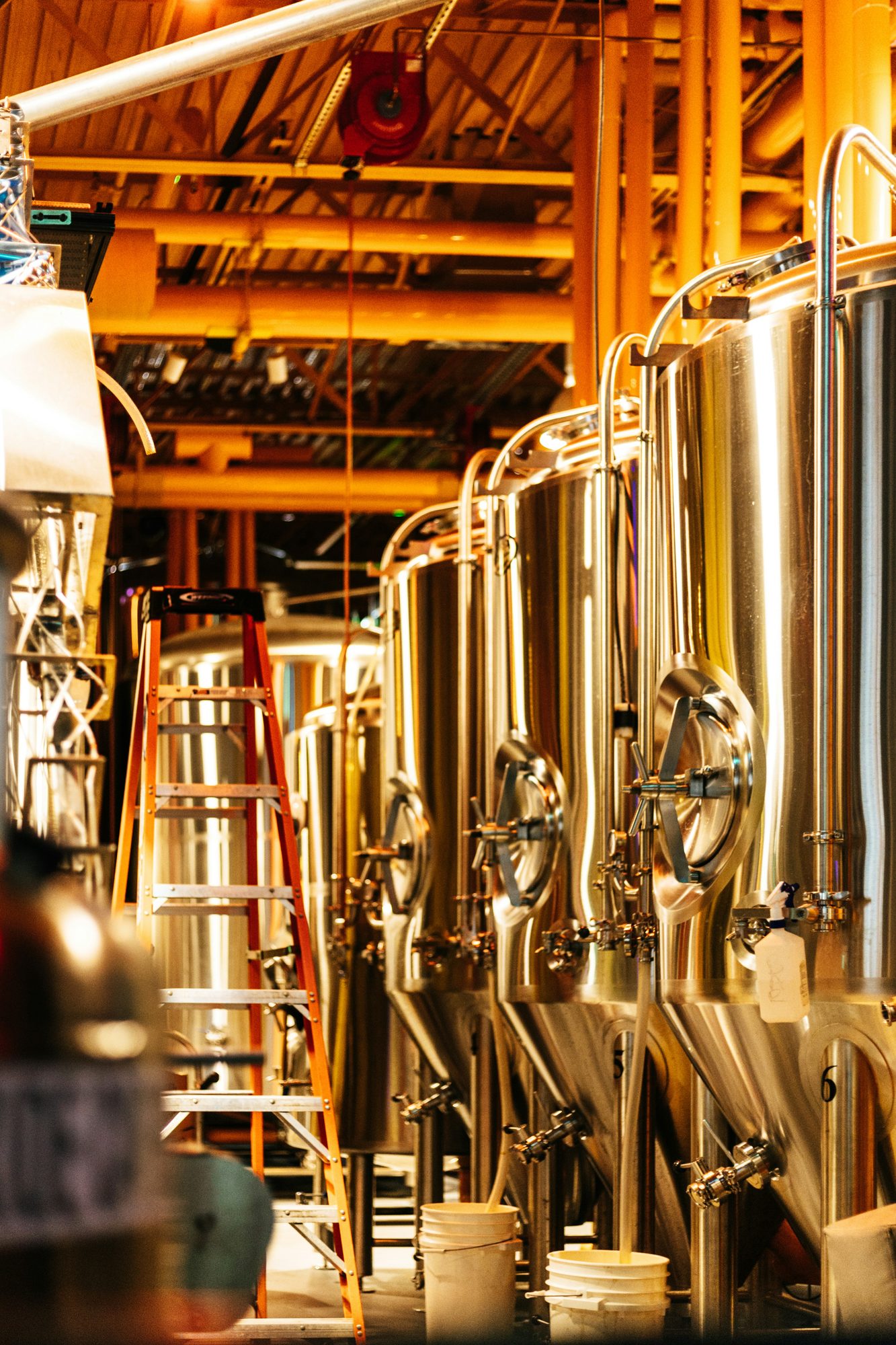 Brewery cellar ladder inside a working craft brewery production facility